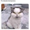 jessicamarte899